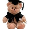 Graduation Teddy Bear (24cm)