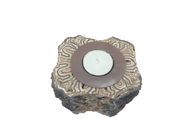 Tree Fern VaseTealight Candle Holder - Warrior (Small) - Top View